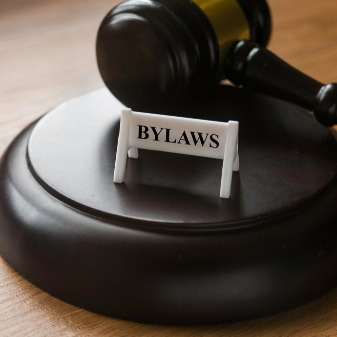 Bylaws (Profit or Non-Profit)